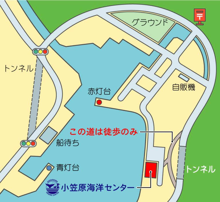 【小笠原海洋センター】“カメセンター”のアクセス