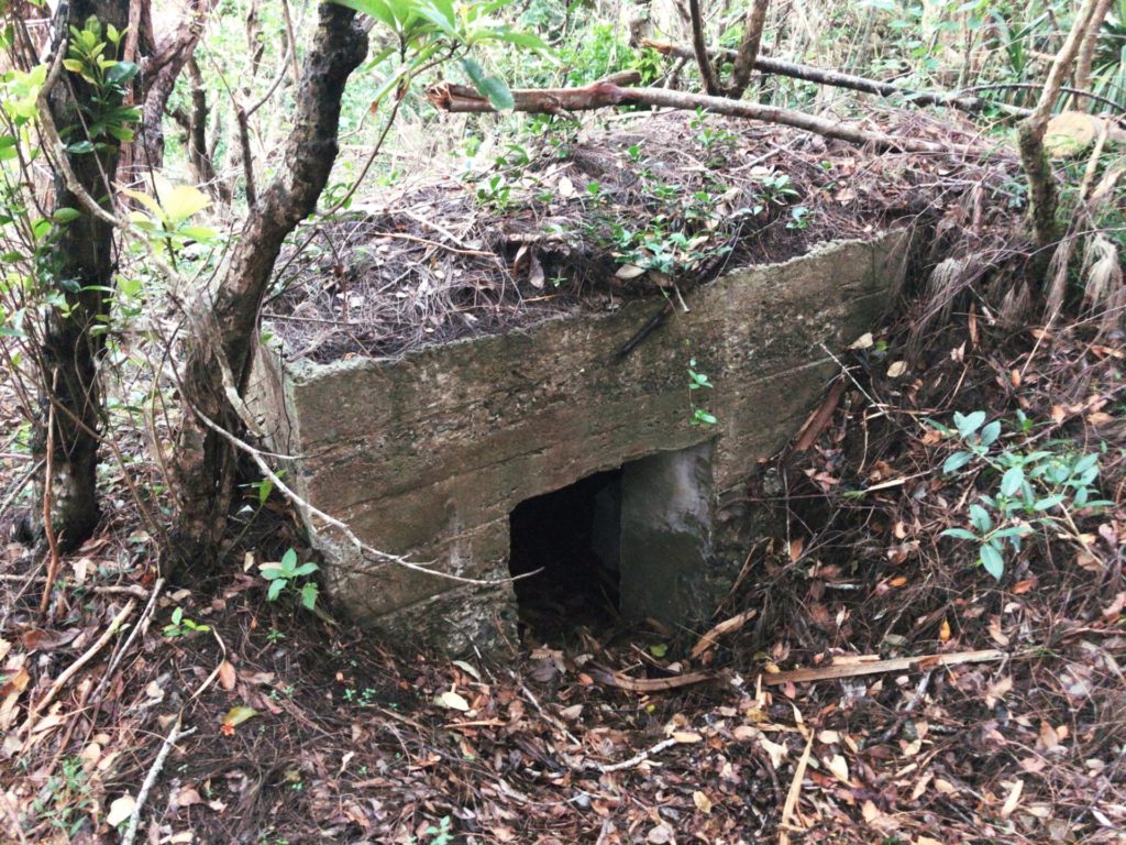 父島要塞大村砲台跡にあるトーチカ跡