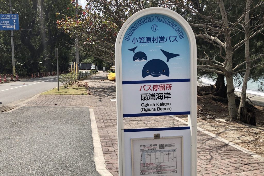 小笠原 父島 扇浦海岸 バス停